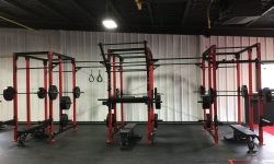 Rogue Monster Lite Rig 2.0