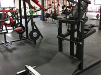 Squat Machine with Calf Blaster