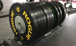 Rogue LB Training 2.0 Plates