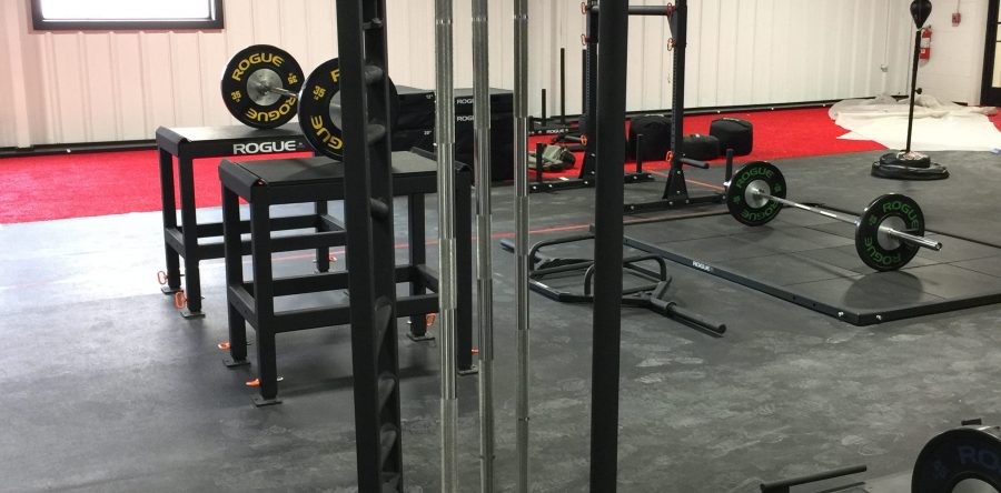 Rogue discount weight bar