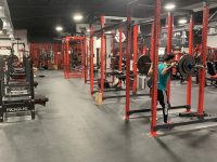8 Squat Racks; 5 Deadlift Platforms
